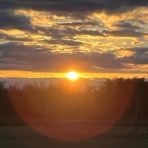 F1 えきぞーすとのーと