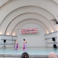 タイフェアin代々木公園＆ハーゲンダッツのイベント