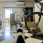 裏つるきち