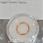 BODY CUSTOM ジョシュアアント