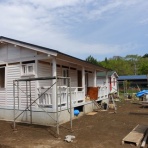 世界初ネコ村　　ネコも人も楽しく暮らす