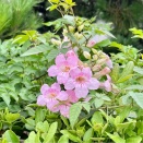 9月7日(月) (^O^)／