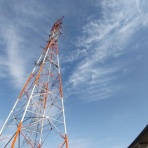 大分屋３の健康日記