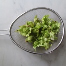 今年最初の春の味