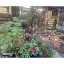 下半期事業計画