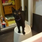 �إꥪ�٤β���