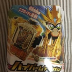 のんびり昆虫採集記