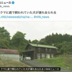 グラッチェトラバース