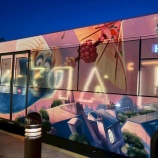 『【WDW】５DAYS①　アニマルキングダム、早すぎる朝活　家族5人旅行【ディズニー】』の画像