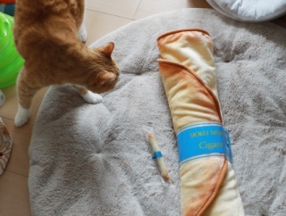 くるくるシガールブランケットと猫ら。