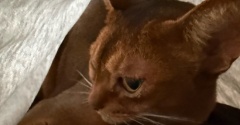 カーディガンの中にいるのは誰でしょうかー？