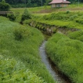 西根川から伊南川本流に濁り
