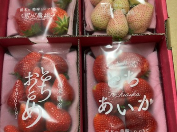 【画像】ふるさと納税の巨大ないちご届いたよぉ