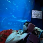 灯里きゃんどる