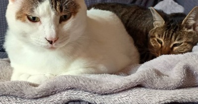 娘がふたりいる感じ。と、淡いピンクの空玉つくりました。