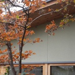 モンコの染織日記