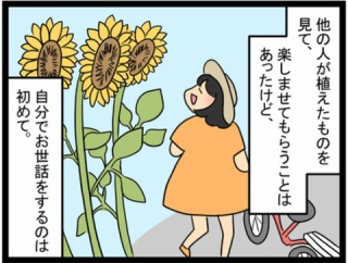 ヒマワリが教えてくれたこと。
