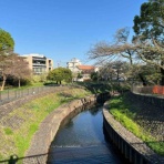 ★コラアゲンはいごうまんのブログ『僕の細道』