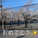 ご入園ご入学ご進級おめでとうございます✨️