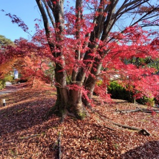 京都❤山里に暮らす