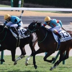 今日の研鑽 by オフィスそのまま