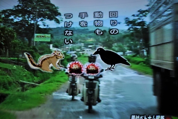 スーパーカブ中心生活 ｔｏｎｙ ｓ甲信生活 Cub History