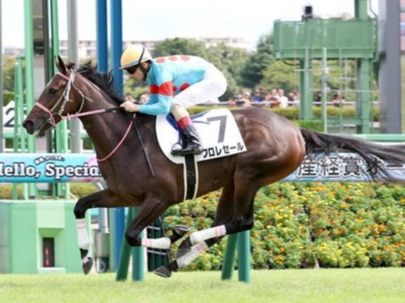 【3歳馬故障定期】注目馬フロレセールも離脱　繋靭帯炎と剥離骨折