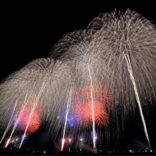 ながおか通信 イベント 話題