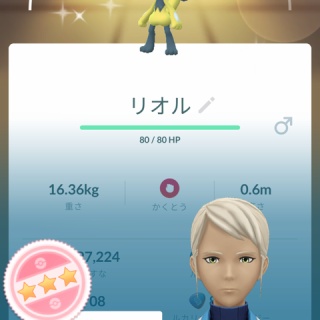 徒歩のポケモンまとめブログ
