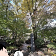 姉と一緒に三島1泊旅行④あぁ 思い出の楽寿園