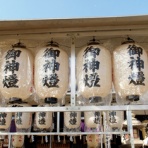 ぽっちの日々