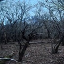 片蓋山（標高；１４８８ｍ）登頂記録