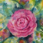 ルピナス便り。