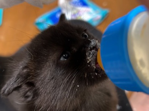 食べる事は生きる事の意味　20251114