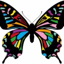 海外「世界にはこういう子が必要だ！」昆虫学の常識を覆した日本の天才少年に対する海外の反応