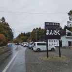 みちくさんぽ♬（人生道草散歩）