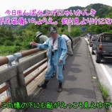 『【仁淀川鮎特別採捕】結果は？？』の画像