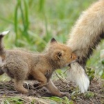 大学生だが友達に親に甘えすぎって言われたｗｗｗｗｗｗｗ