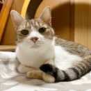 土曜の夜
