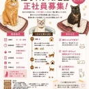 絶対働きたい職場やん＆レンジで豚小間とモヤシのポン酢かけ