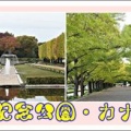 昭和記念公園・カナール