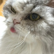 ケイとメルシーの体重測定