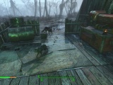 じっくりと猫を観察してみる - Fallout4