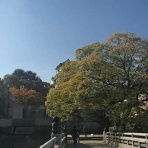 冬ソナの主人公達といつも一緒！！ Tyunnsanのブログ