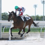 『【移籍馬情報】ホッカイドウ競馬・冬季2歳移籍馬情報 ~Vol.11 船橋編~』の画像