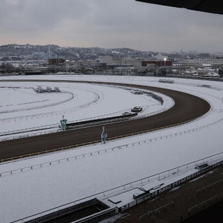 競馬総合まとめ速報
