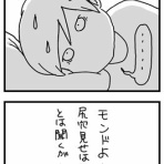 香箱通信