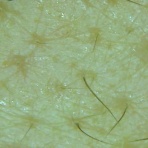 スキンケアやめてみた 記録日記