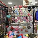 ♡Happy Valentine♡