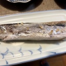 赤い糸の行き先＆安過ぎた魚